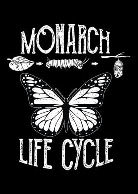 Monarch Life Cycle