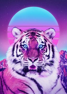 Tiger 80s