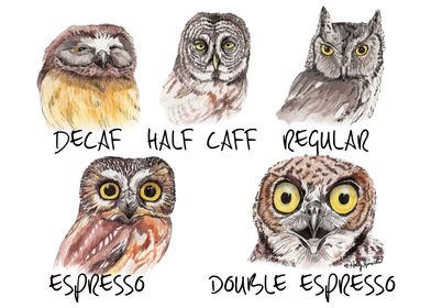 Owl Caffeine Meter