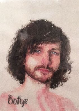 Gotye Paintings