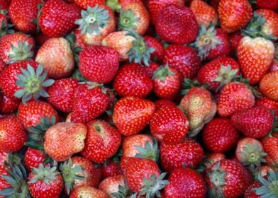 Delicious strawberries