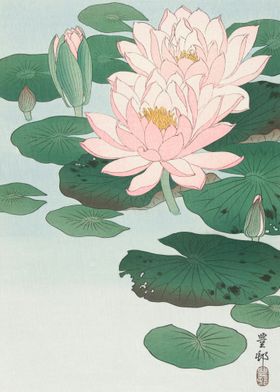 water lily chinese painting