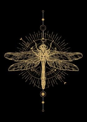 'Entomology Dragonfly' Poster by BobbyBubble | Displate