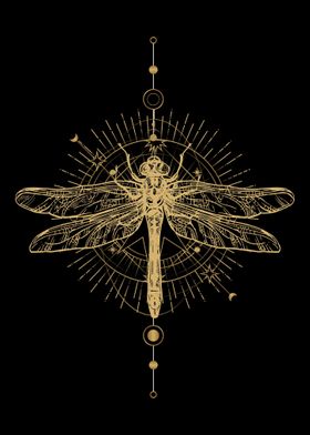 'Entomology Dragonfly' Poster by BobbyBubble | Displate