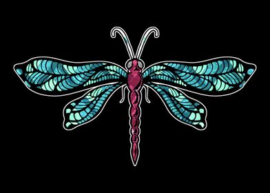 Entomology Dragonfly