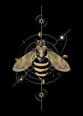 Entomology Bee