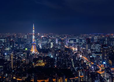 Tokyo lights 
