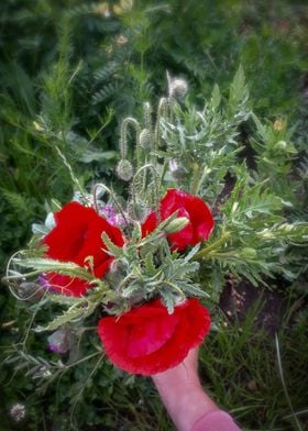 Red Poppy bouquet