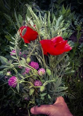 Poppy and clover bouquet