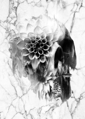 Marble Skull