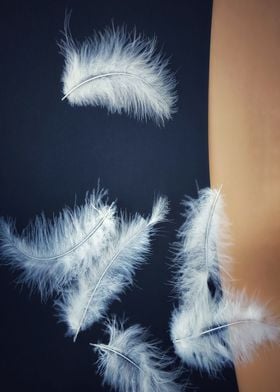 White feathers