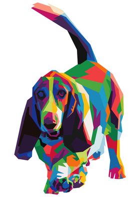 colorful basset hound dog