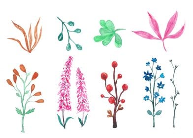 Random watercolor plants a