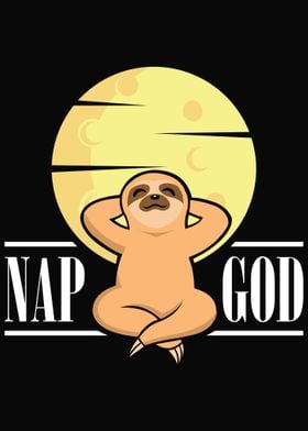 Funny Lazy Sloth