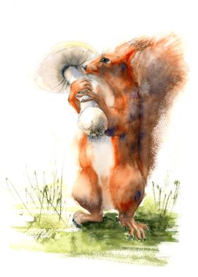 Squirrel and Mushroom