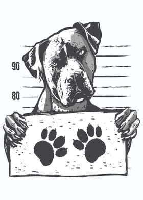 CUTE DOG MUGSHOT