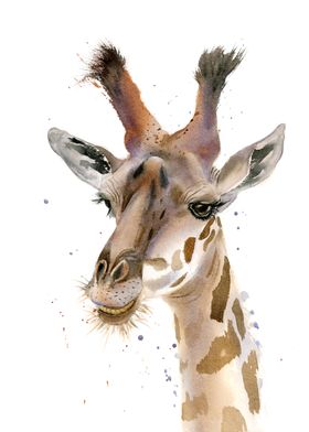 Giraffe portrait 