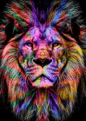 Lion in colorful