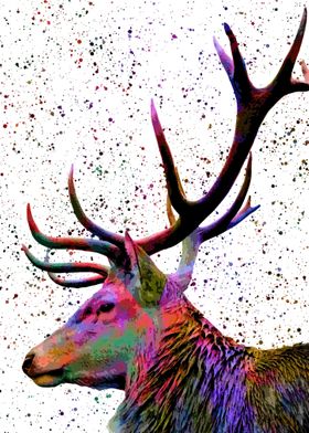 Deer in colorful