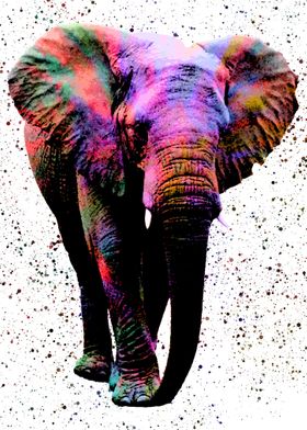 Elephant in colorful