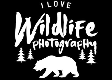 Wildlife Photography