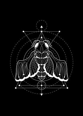 Occult Cicada