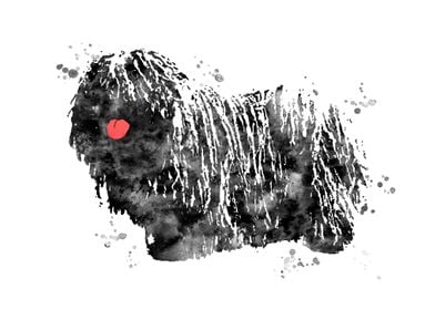 Hungarian Puli 