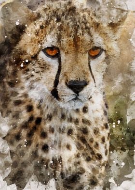 Watercolor Cheetah 