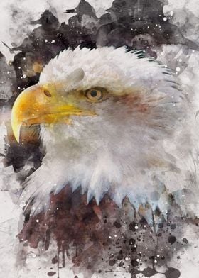 Watercolor Eagle