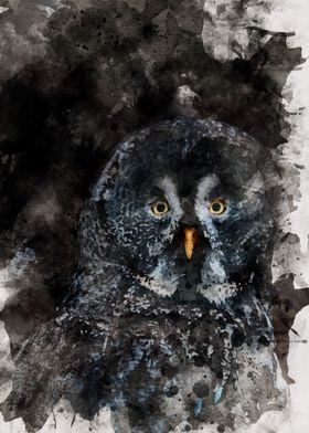 Watercolor Owl