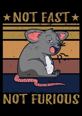 Not Fast Not Furious Mouse