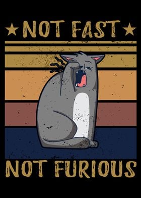 Not Fast Not Furious Cat