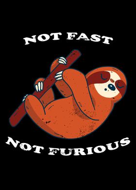 Not Fast Not Furious Sloth