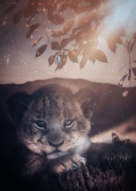 Baby lion on a tree stump