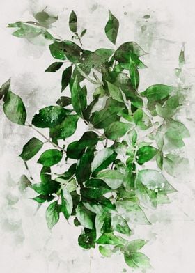 Watercolor Leaves