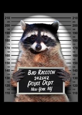 Raccoon Prison Jail