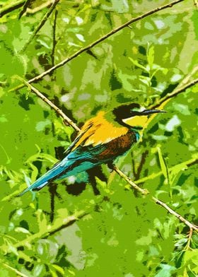 European Bee eater art