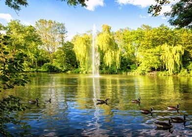 Lake fountain nature park