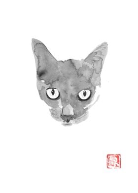 grey cat 02