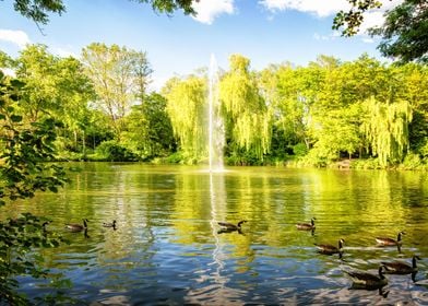 Lake fountain nature park