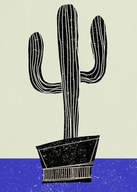 Cactus of the desert