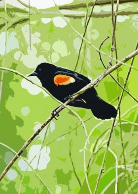 Red Winged Blackbird