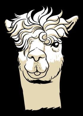 Llama