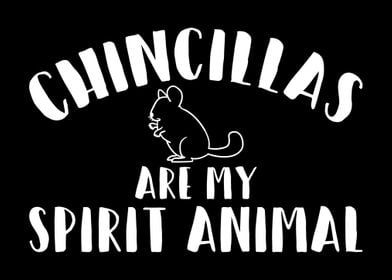 Chinchilla Spirit Animal