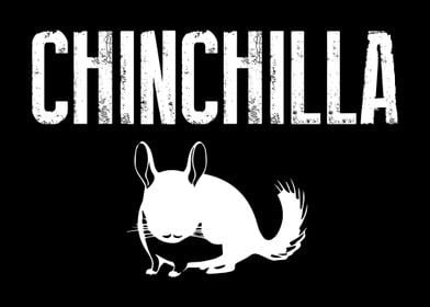 Chinchilla Chinchillas