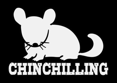 Chinchilling Rodent