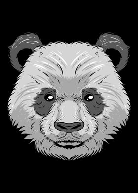 Panda Bear