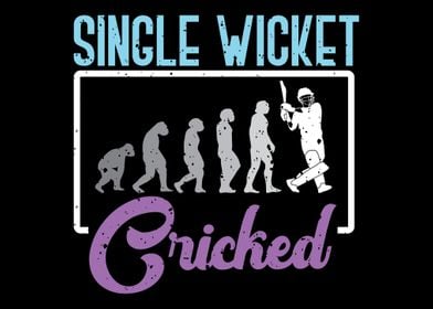 Single Wicket Cricket Play