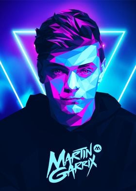 martin garrix