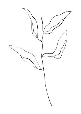 Beautiful Botanicals-preview-3